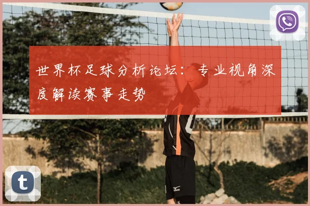 世界杯足球分析论坛：专业视角深度解读赛事走势