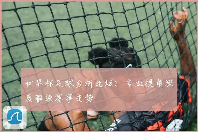 世界杯足球分析论坛：专业视角深度解读赛事走势