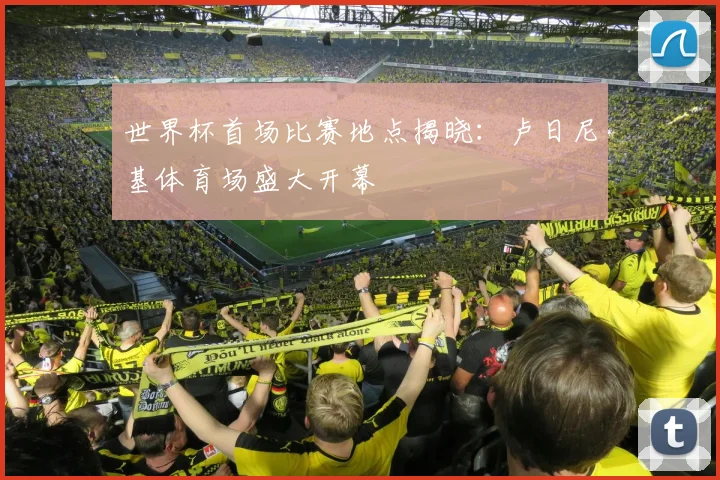 世界杯首场比赛地点揭晓：卢日尼基体育场盛大开幕