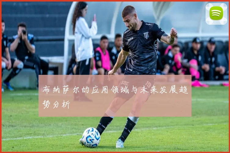 布纳萨尔的应用领域与未来发展趋势分析